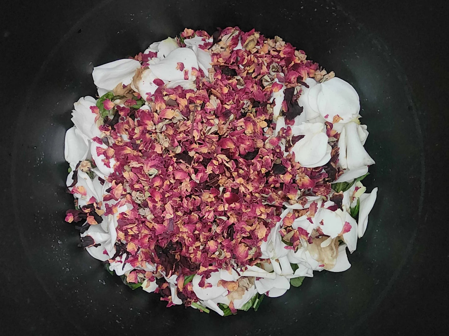 Florida Water: Bendiga